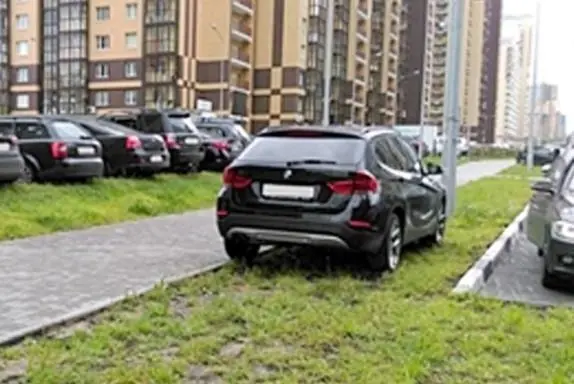 Ілюстрація до питання 96